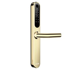 Zafe T-Lock Messing 39mm